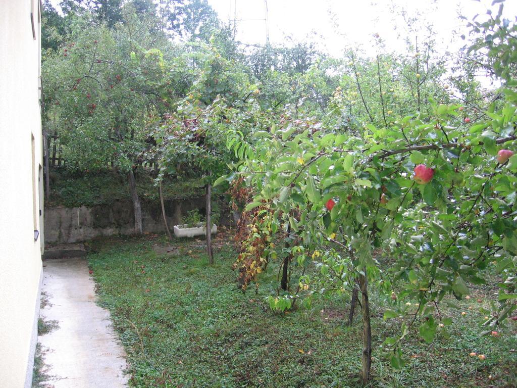Guest House Pribojska Banja المظهر الخارجي الصورة