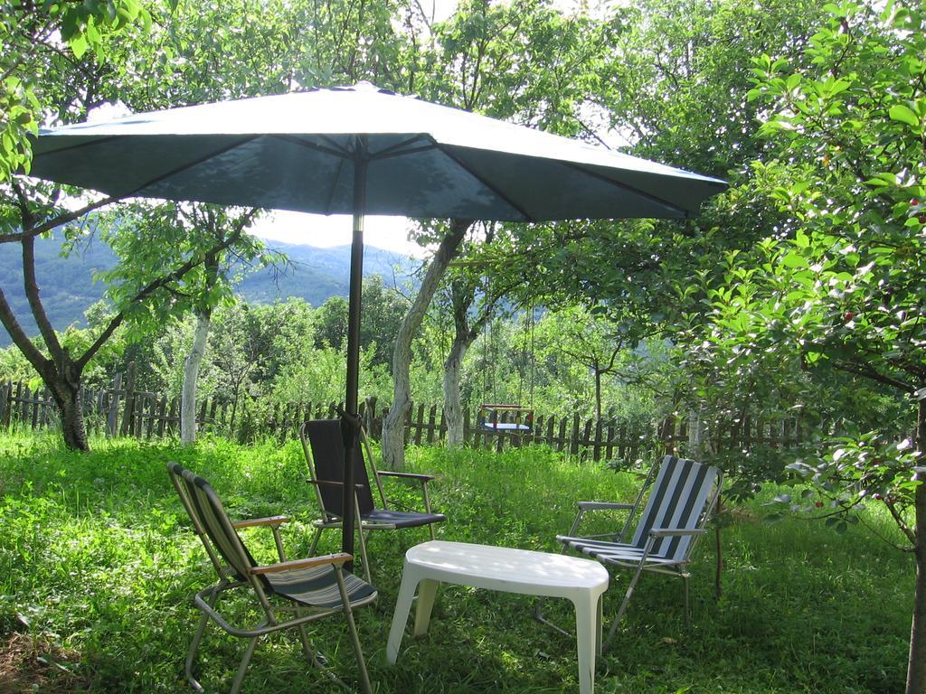 Guest House Pribojska Banja المظهر الخارجي الصورة